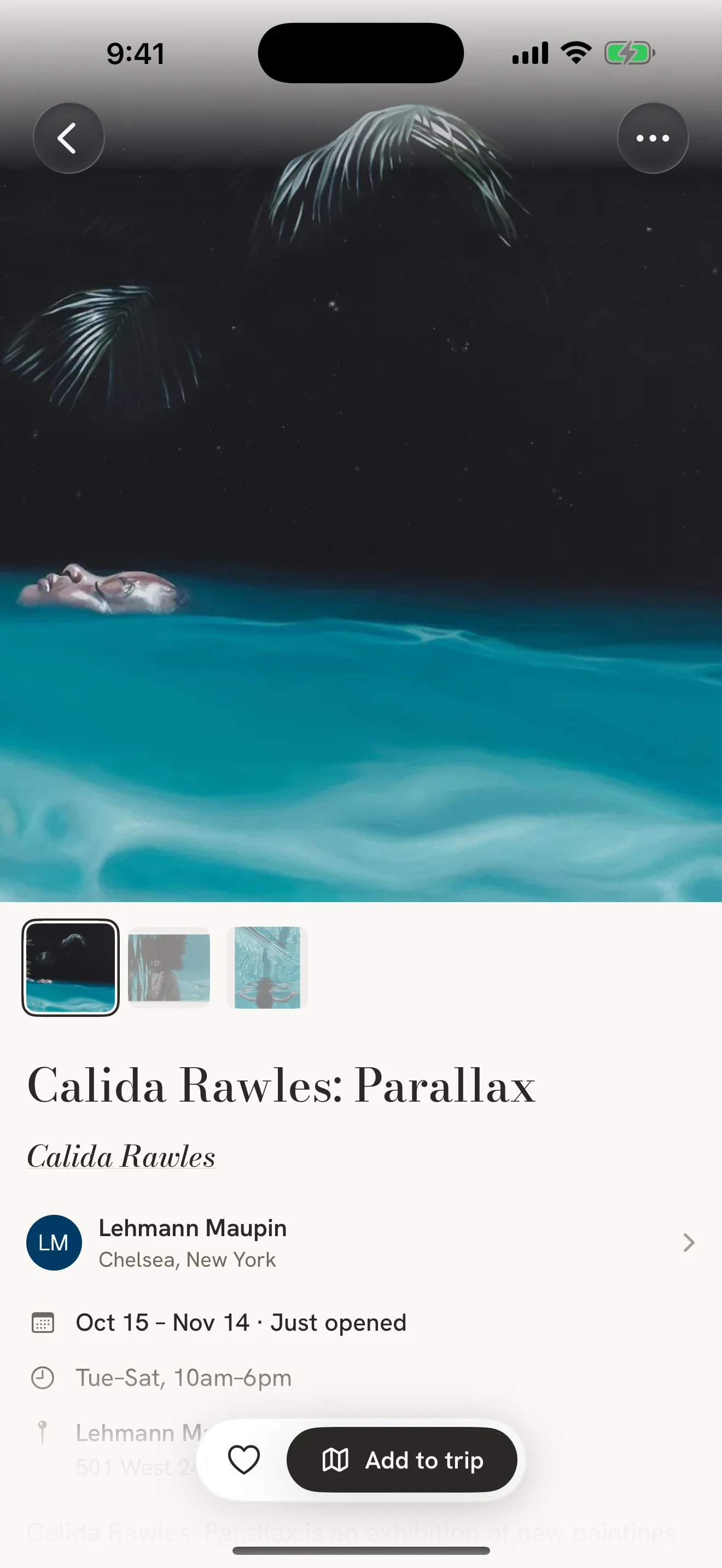 An exhibition in Gallie with its artwork, gallery, dates and save action.